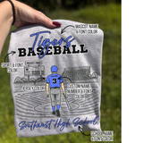 Baseball Field Custom  - WS